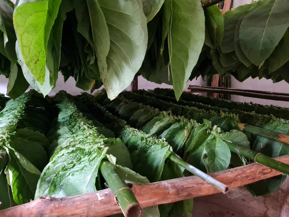Nuestra finca